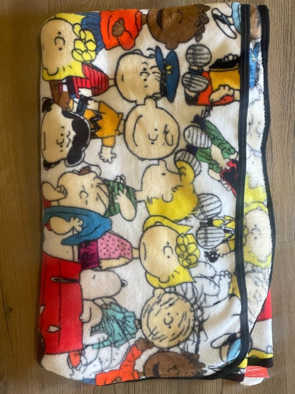 Peanuts Bioworld Charlie Brown Throw Blanket 55" x 45" 2020!